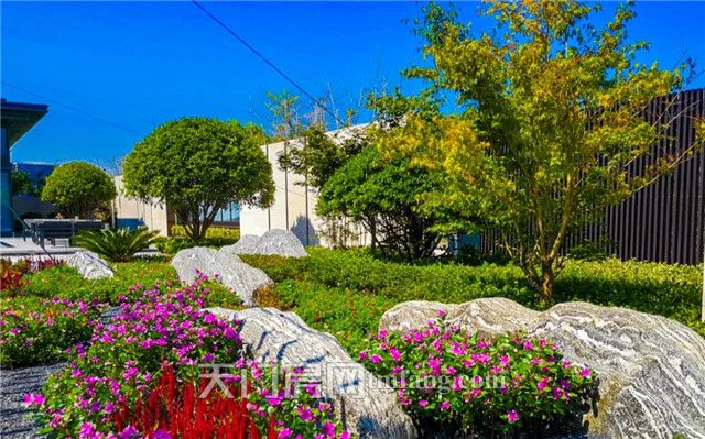 20200411093850315246wo9em.jpg 10.webp.jpg