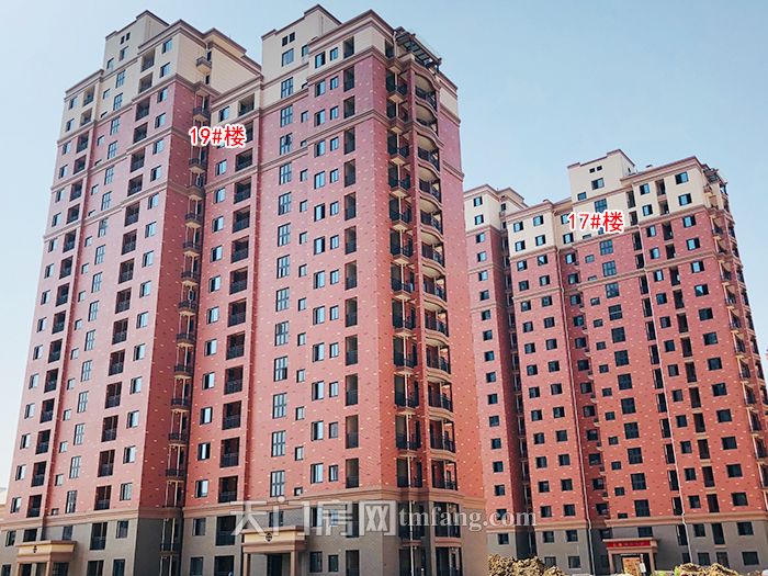 8.19号楼和17号楼.jpg
