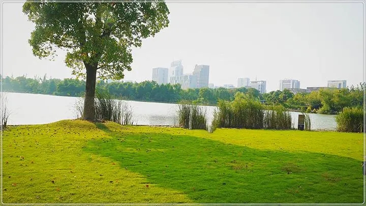 繁华与繁花和谐相融 定义城市公园住宅