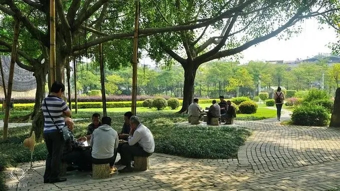 2020052515204478412asc4zo.jpg 2020052515204478412asc4zo.jpg