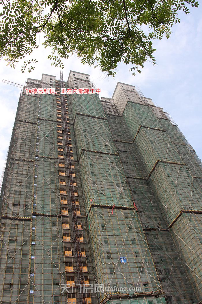1#楼.jpg