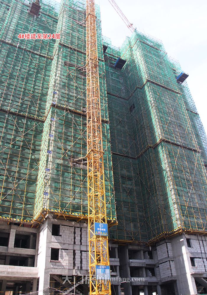 4#24层.jpg