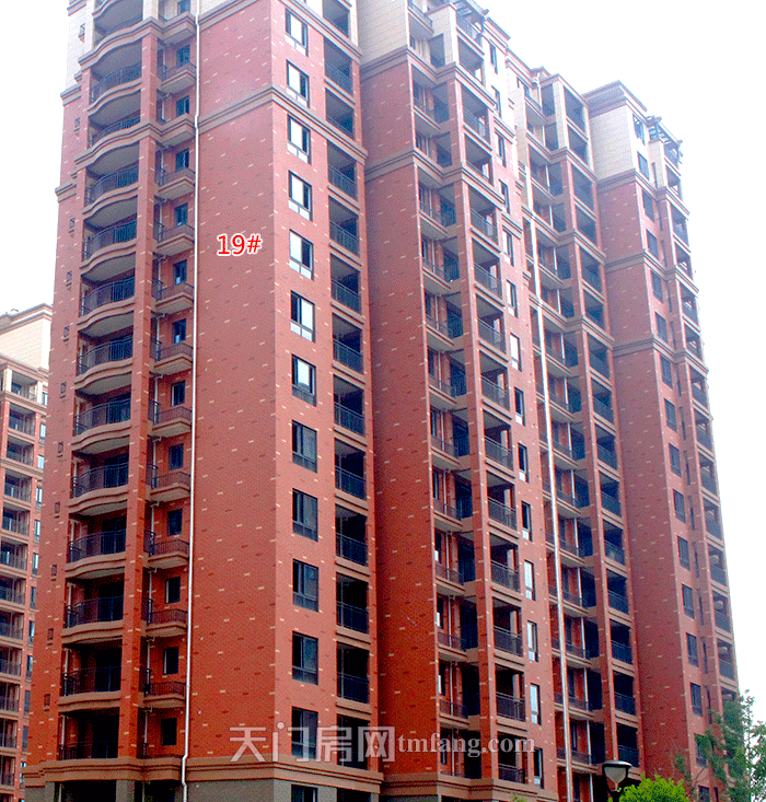 2020052909300240630fsacrx.png 图片5.png