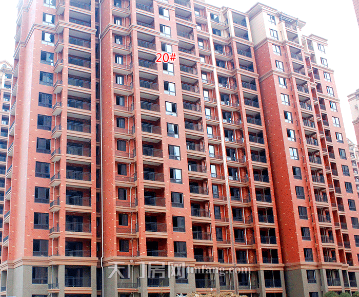 2020052909303592284gvk9dl.png 图片6.png