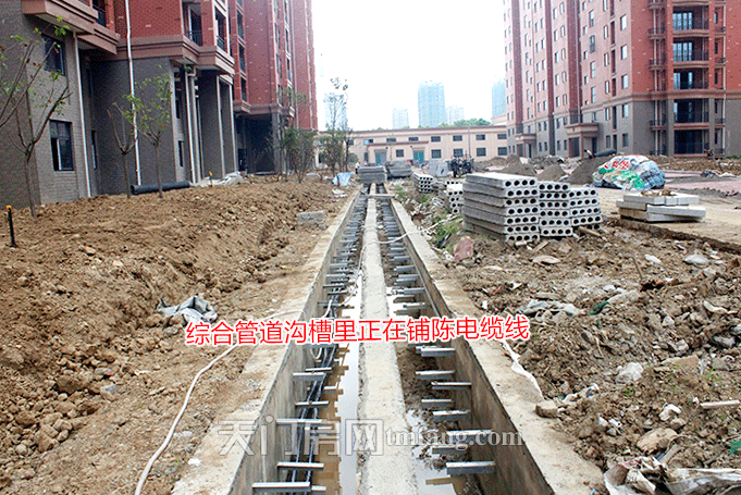 2020052909324094876akk8rm.png 图片13.png