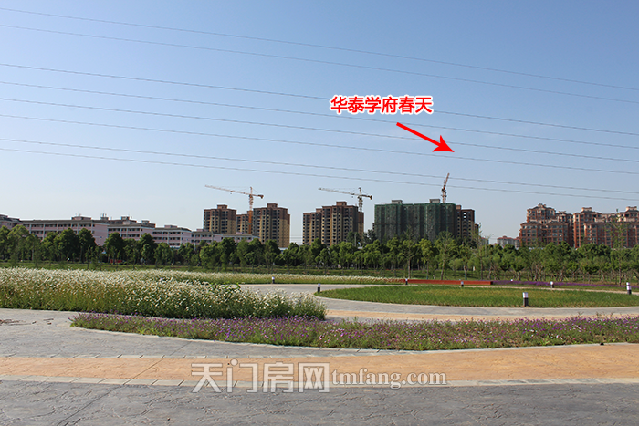 安家杨家新沟旁，盛放全家人的居住理想