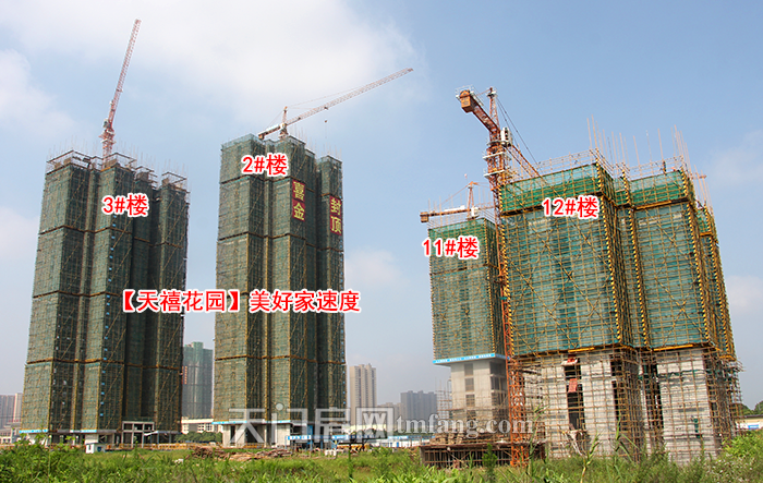 家音播报：天门各大楼盘6月工程进度汇总