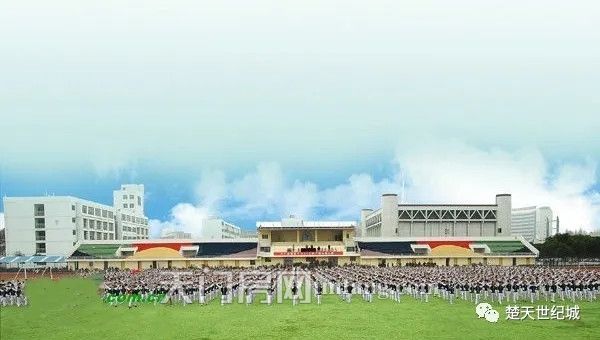 2020072417222363831vgk4qo.jpg 640.webp (1).jpg