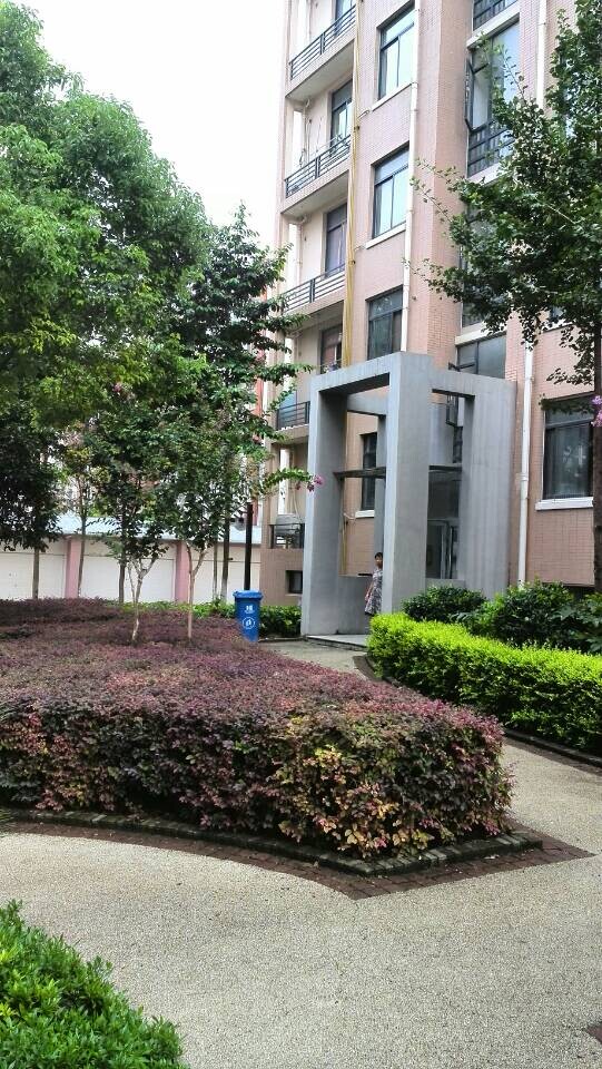 豪华装修了的房子低价出售