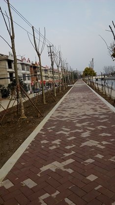 天门成功人士 私邸(汽车南站后身渠边全新 栋出售)