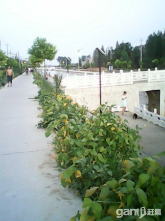 天门成功人士 私邸(汽车南站后身渠边全新 栋出售)