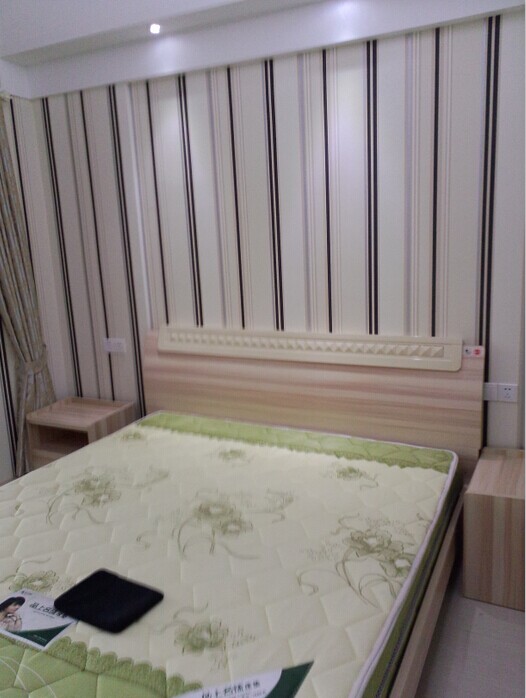 新城CBD精装修房子 次出租