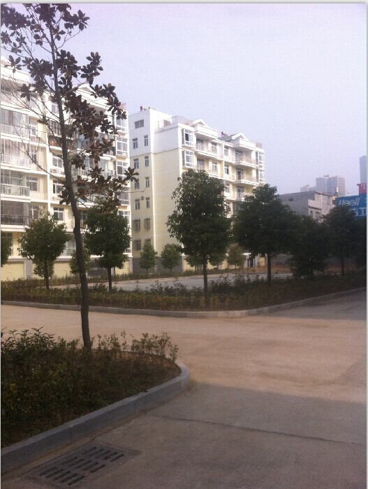 新城政法小区四室出售