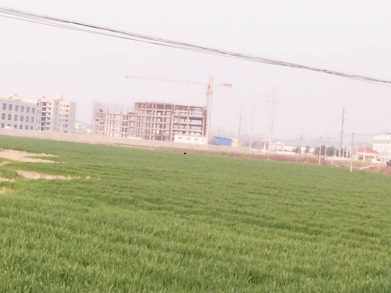 仙北高中后面郭湾小区宅基地低价出售