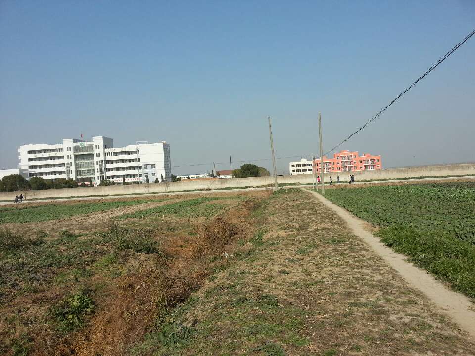 干驿镇初中菜场附近两间5层楼房