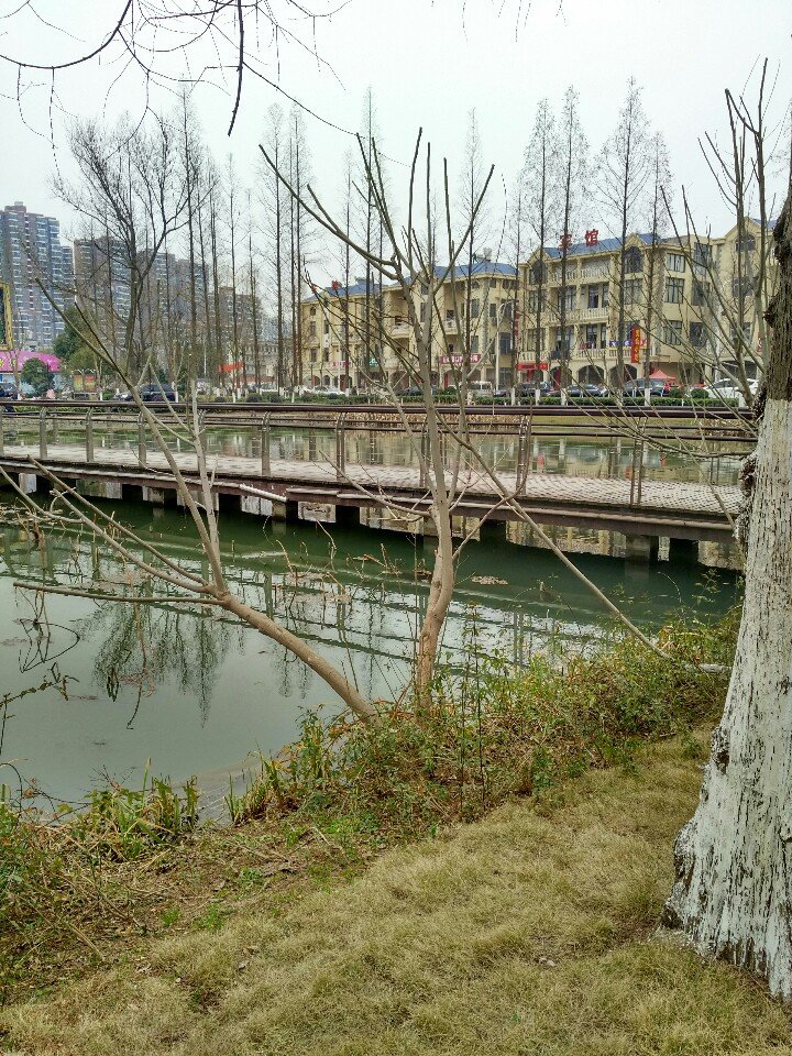 干驿镇 菜场附近两间5层楼房