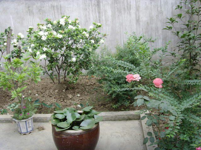 天门蒸菜街夜宵城旁