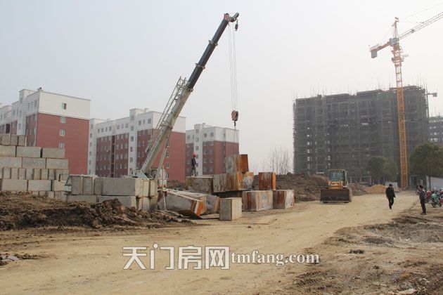 鸿泰·世颐公馆2月项目进度