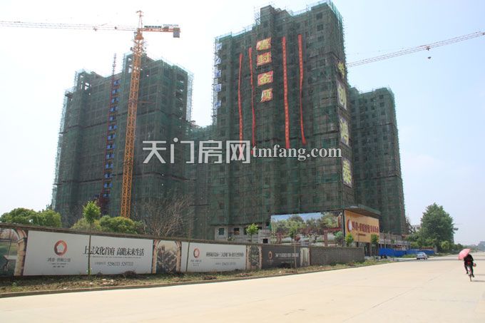 鸿泰·世颐公馆5月项目进度