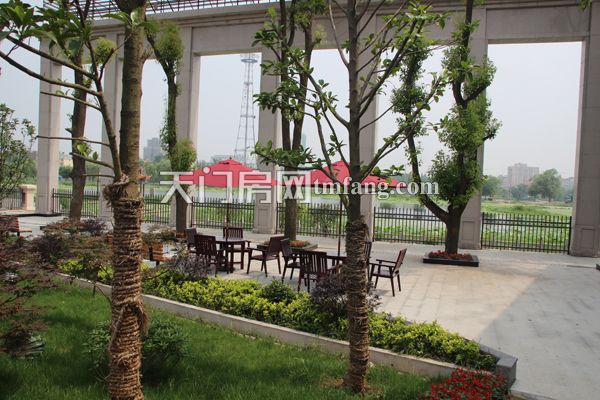 东湖国际 6月工程进度