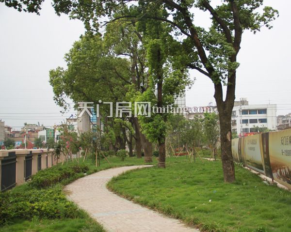 东湖国际 8月工程进度