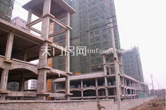 天城明珠11月工程进度