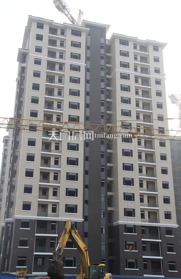 天城明珠1月工程进度