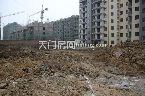 鸿泰·世颐公馆3月项目进度