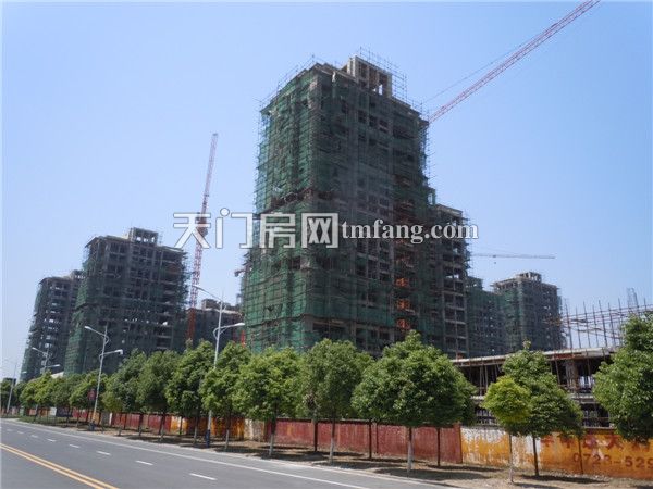 华泰丽晶5月工程进度