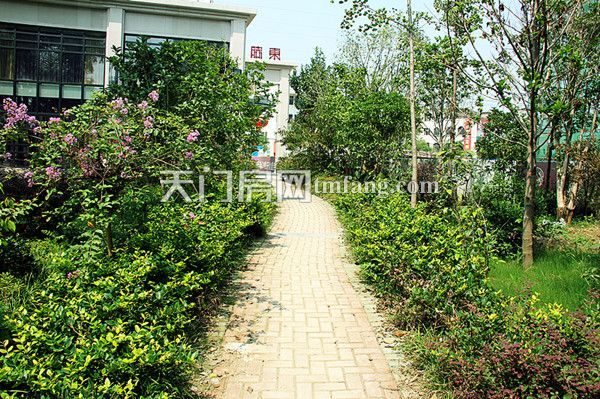 东湖国际9月工程进度