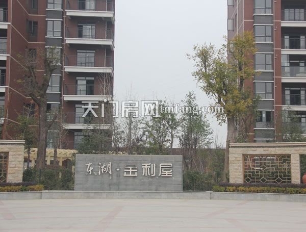 东湖金利屋 工程进度