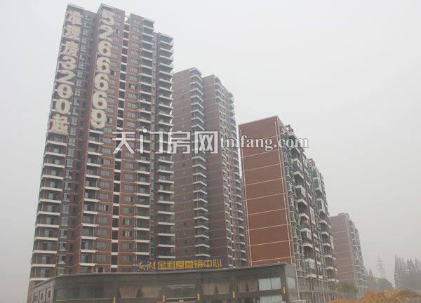 东湖金利屋 工程进度