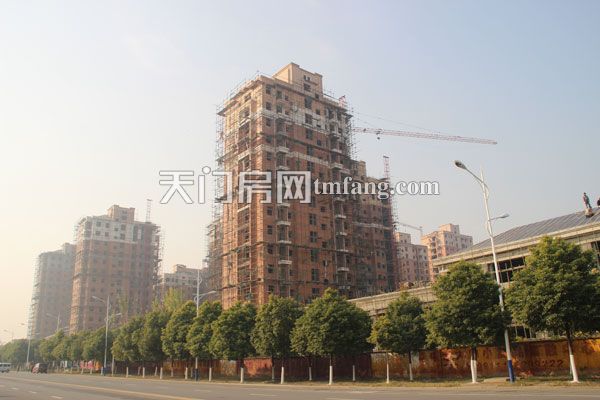 华泰丽晶12月工程进度  即将推出10、12号楼