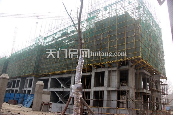 天城明珠一月工程进度