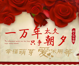 2014情人节专题：幸福萌芽，爱不用等