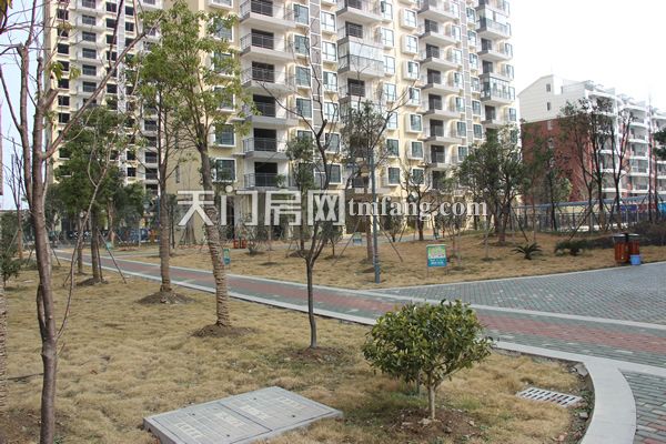 鸿泰世颐公馆2月 工程进度