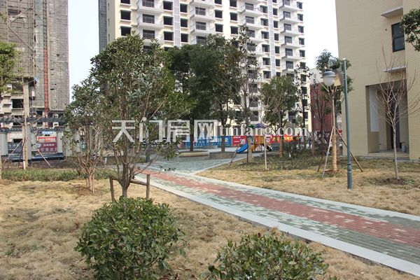 鸿泰世颐公馆2月 工程进度