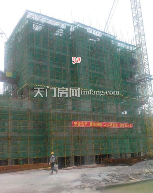 汇金国际4月工程进度 工地一片生机盎然景