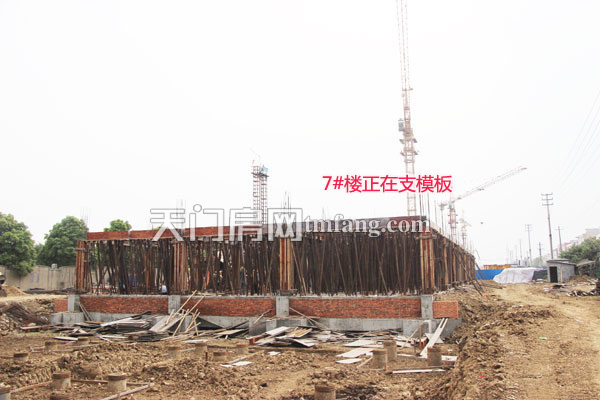 7#楼正在支模板