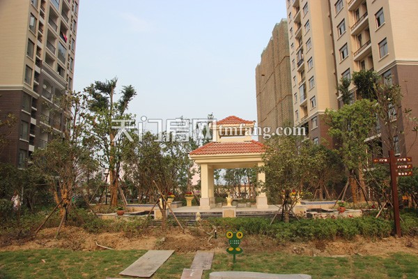 天城明珠6月工程进度