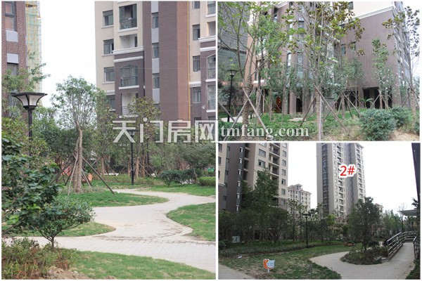 天城明珠6月工程进度