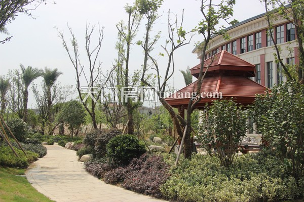 华茂阳光城8月工程进度：绿化建设初见成效