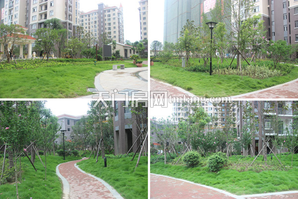 　天城明珠的小区绿化