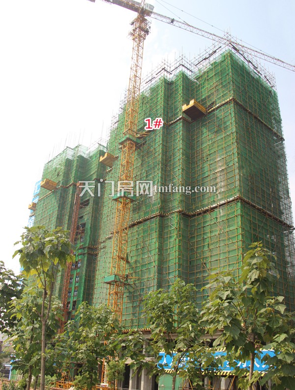 仁信国际公馆8月工程进度1#楼