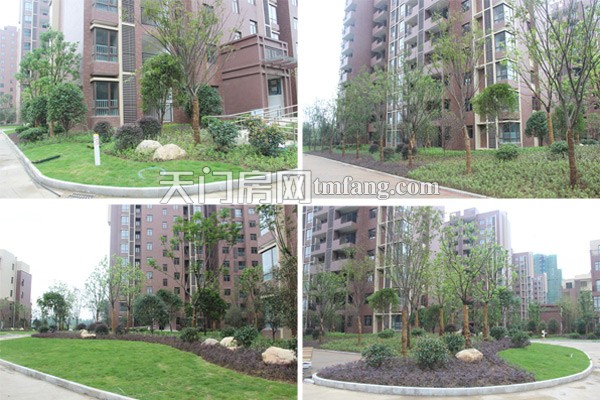 汉旺世纪城13#-17#楼之间的绿化已经成型，绿色成荫