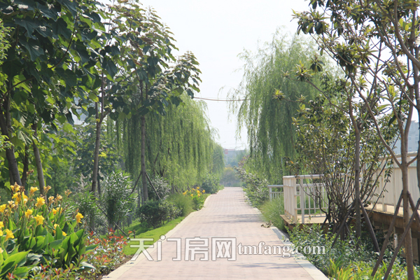 仁信国际广场9月工程进度 曲径通幽