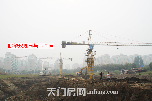 冠南汇侨城9月工程进度 眺望玫瑰园与玉兰园