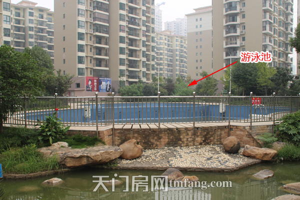 冠南汇侨城9月工程进度 游泳池
