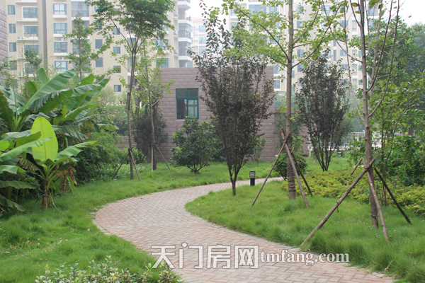 冠南汇侨城9月工程进度 　林荫小道