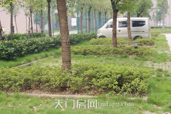 冠南汇侨城9月工程进度 碧草青青的地上停车位